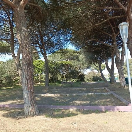 아그 Lara 3 - T2 Loggia Piscine 2 Lits Doubles Parking Pres Du Centre-Port Et Ile Loisirs 아파트 외부 사진