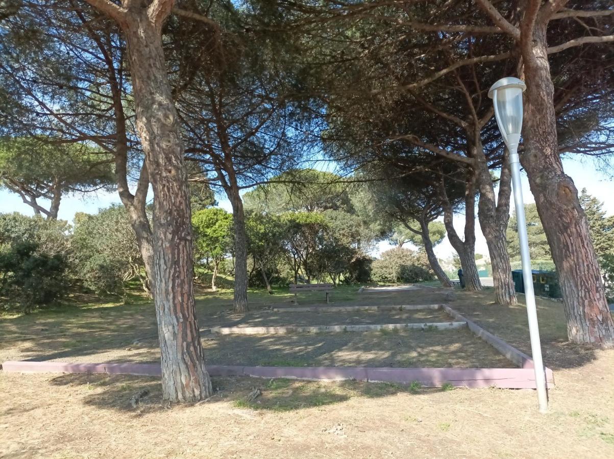 아그 Lara 3 - T2 Loggia Piscine 2 Lits Doubles Parking Pres Du Centre-Port Et Ile Loisirs 아파트 외부 사진